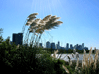 Buenos Aires