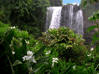 Iguaz&uacute;