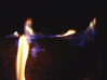 fuego 15