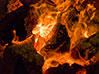 fuego 23