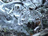 hielo