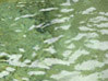 agua en El Saltillo