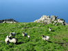 El Hierro