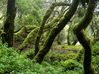 El Hierro