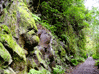 La Palma