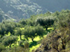 tierra9