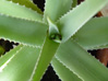 tierra8
