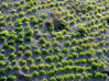 tierra11