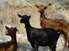 tierra12