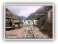 MOVE